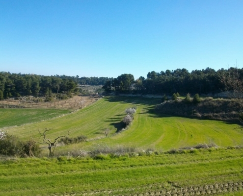 Contrato servicios suministro mantenimiento red agua Vall del Corb Lleida